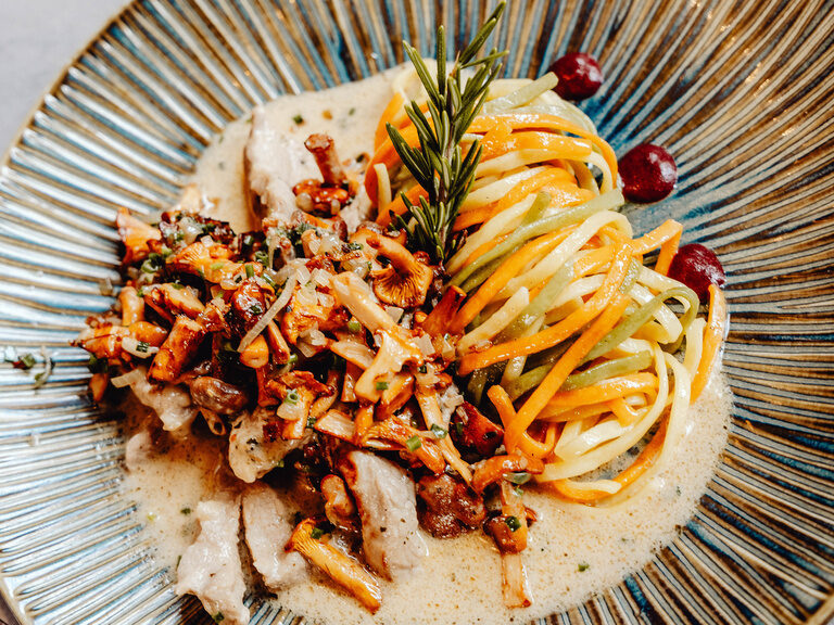 Hund in Hotelbett Hund in Hotelbett