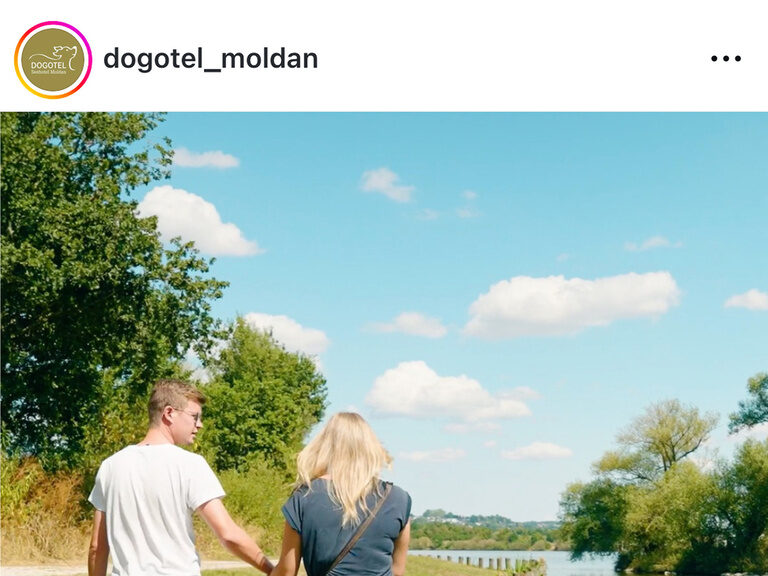 Ein Mann und eine Frau spazieren zusammen mit Ihrem Hund am Fluss entlang im Naturhinterland.